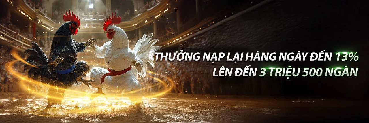 Sân chơi đá gà trực tuyến sc882